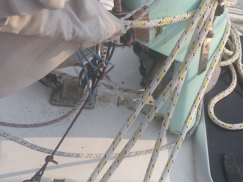 20150805_175443.jpg
