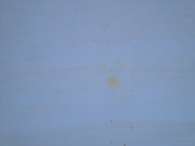 IMG_0790.jpg