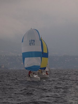 noi poppa bagarre.jpg