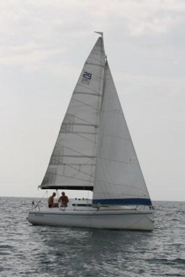 regata 262 (2)c.jpg