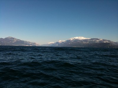 IMG_0182.jpg