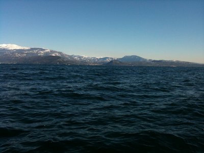 IMG_0186.jpg