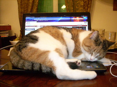 DSCN2924.JPG