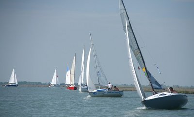IMG_6739.jpg