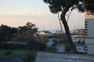 DSC_3851.JPG
