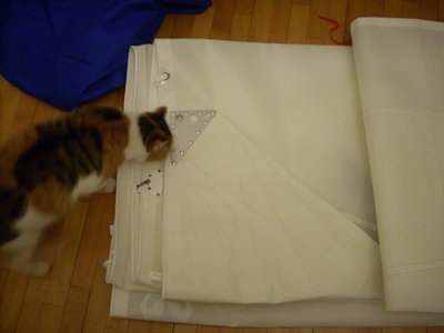 DSCN3031.JPG