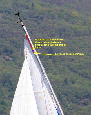 penna_flessa.jpg