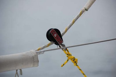 DSC_0007.JPG