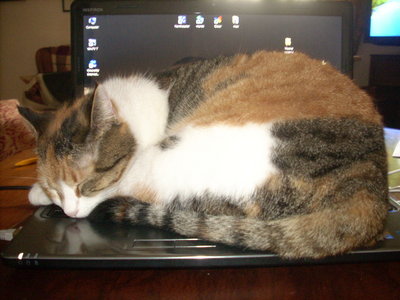 DSCN3113.JPG