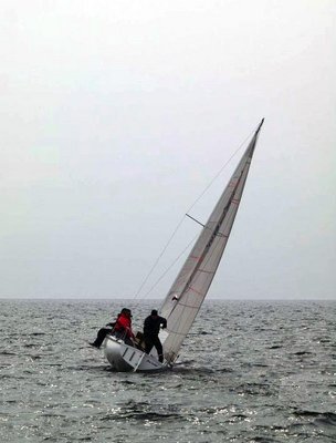Immagine 1.jpg