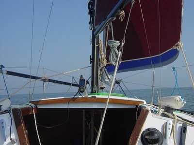 DSC02557-1.JPG