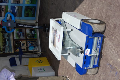 carrello elettrico.JPG