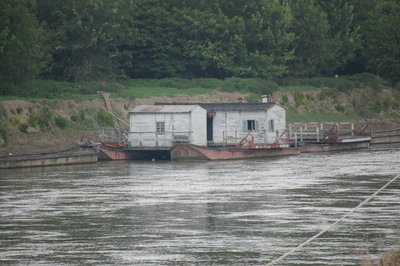DSC_5320.JPG