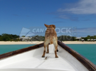 canstock0653747.png