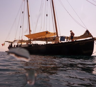P1010819.JPG