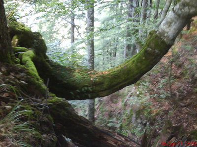 DSC00278.JPG