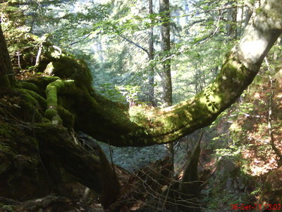 DSC00277.JPG