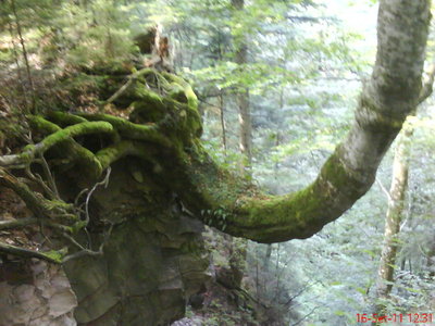 DSC00276.JPG