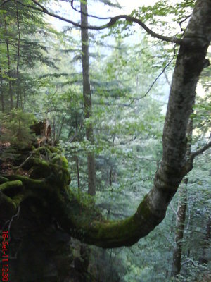 DSC00275#1.JPG