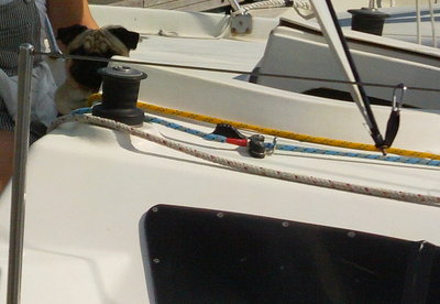 FILE0346.JPG