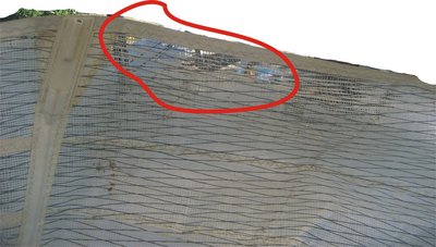 randa in mylar 1.jpg