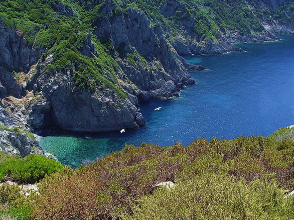 isola_gorgona[1].jpg