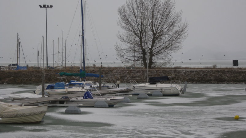 Aspirina sotto la neve.JPG