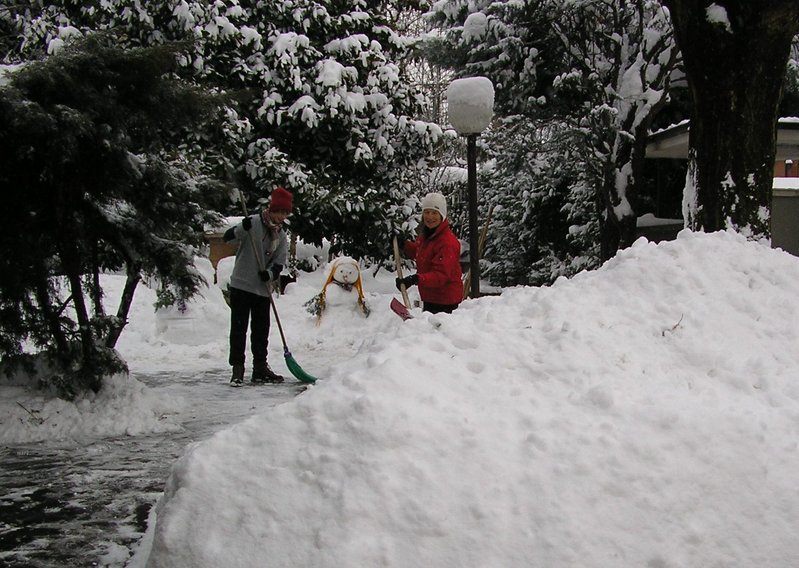Copia di P1010145.JPG