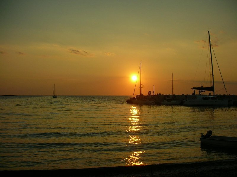 Immagine 034.JPG