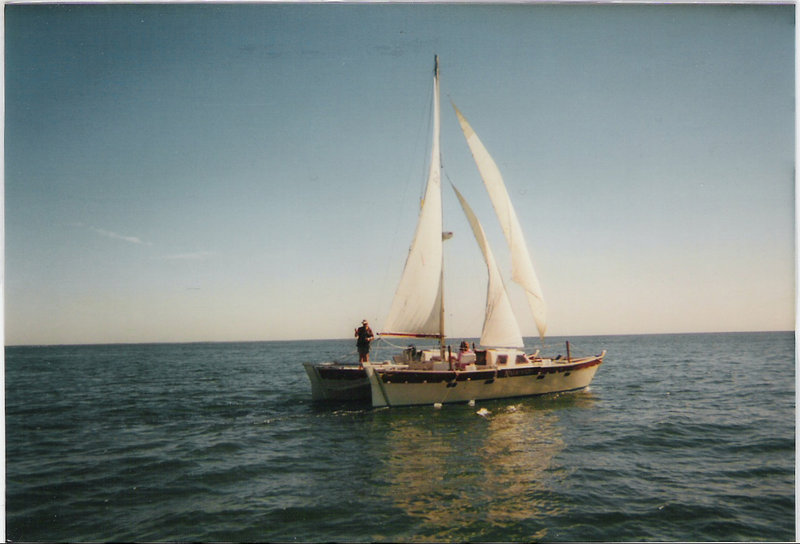 scan1.jpg