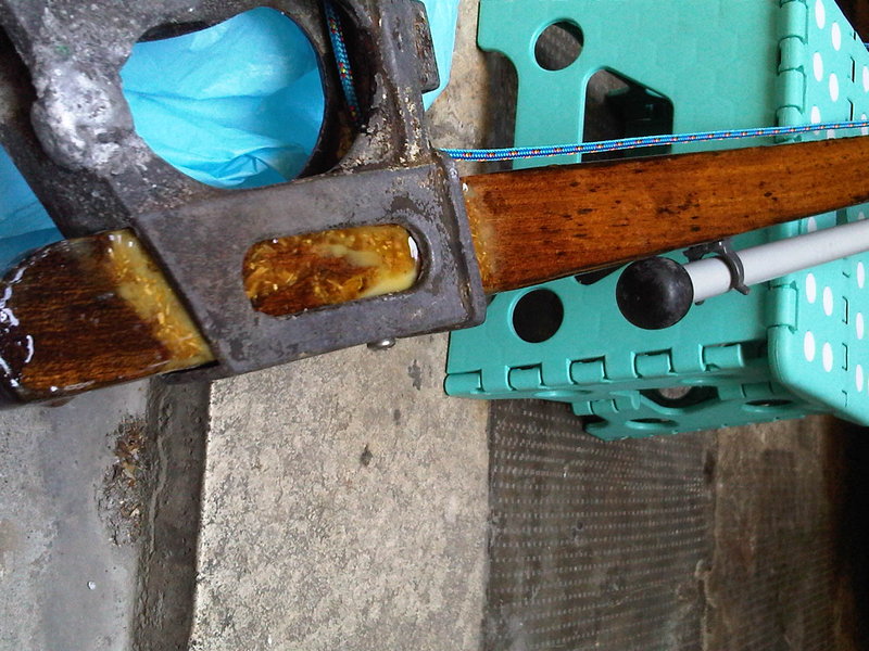 IMG00384-20120513-1150.jpg