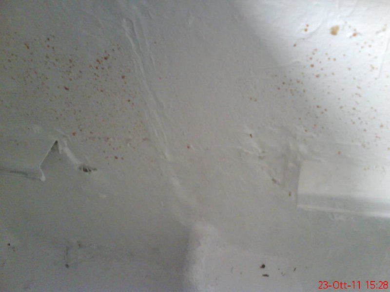 DSC00302.JPG