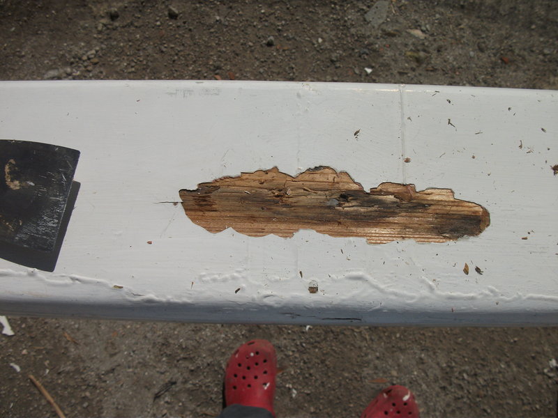 DSCF8655.JPG