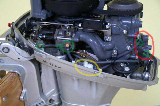 3024604d.jpg