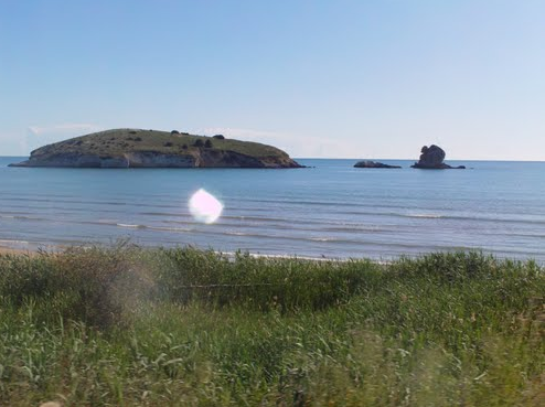 isola cipolle.png