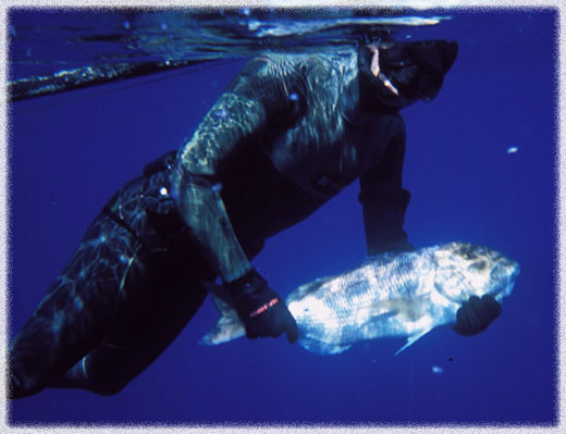 pesca sub.jpg
