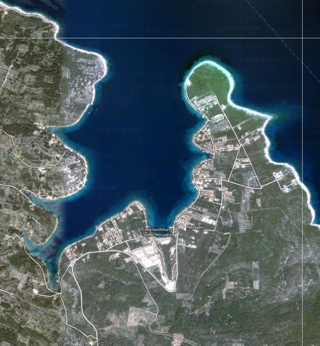 Immagine 1.png
