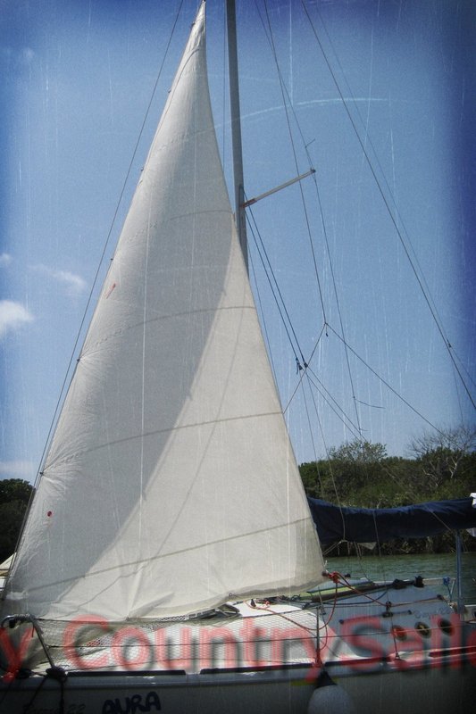 IMG_1702alleggerito.jpg