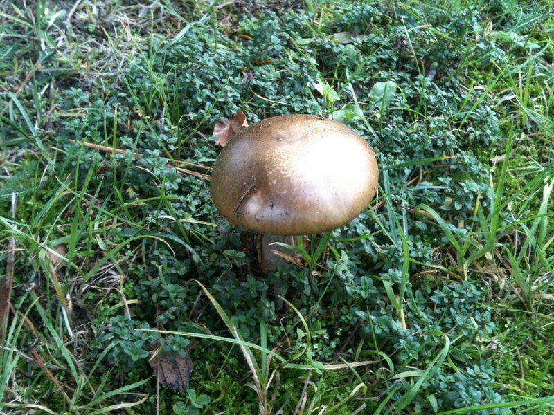 foto1.JPG