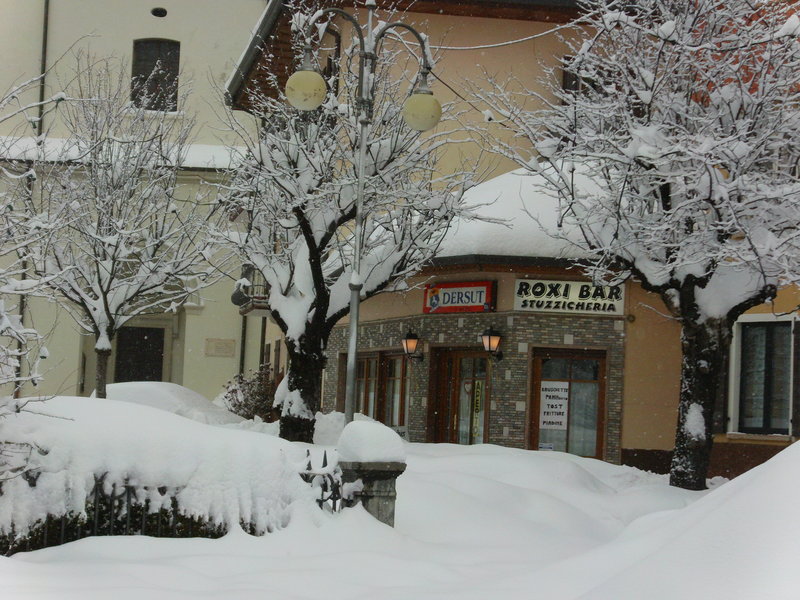 FILE0919.JPG