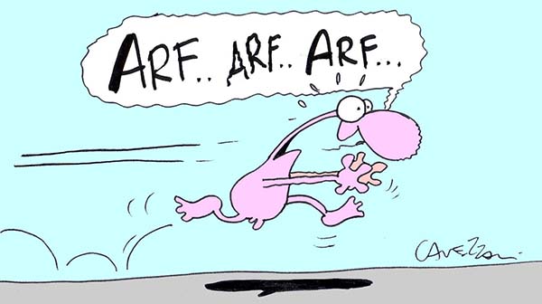 arf.jpg