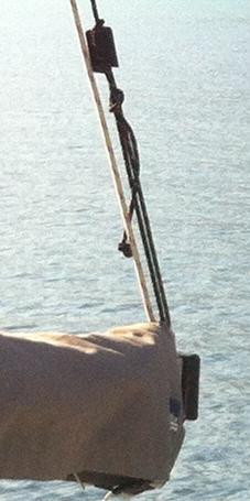 fischietto amantiglio.JPG
