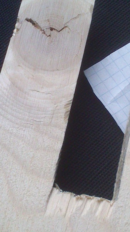 legno1.jpg
