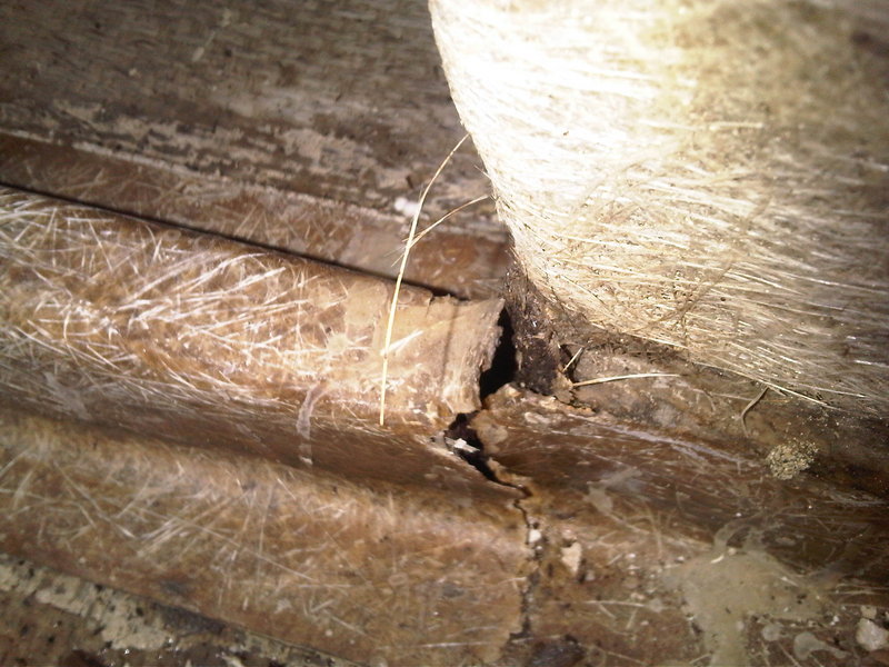 IMG00565-20130706-0949.jpg