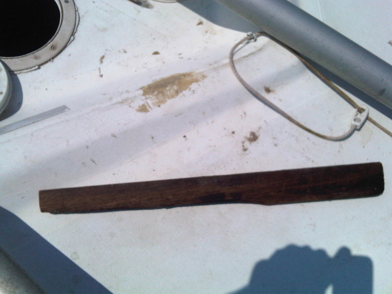 IMG00579-20130713-1519.jpg