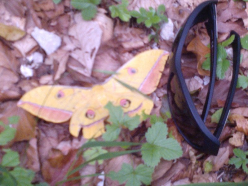 WP_000057.jpg