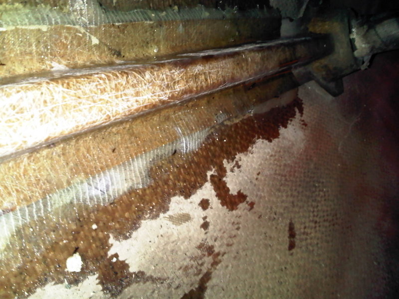 IMG00637-20130901-0857.jpg