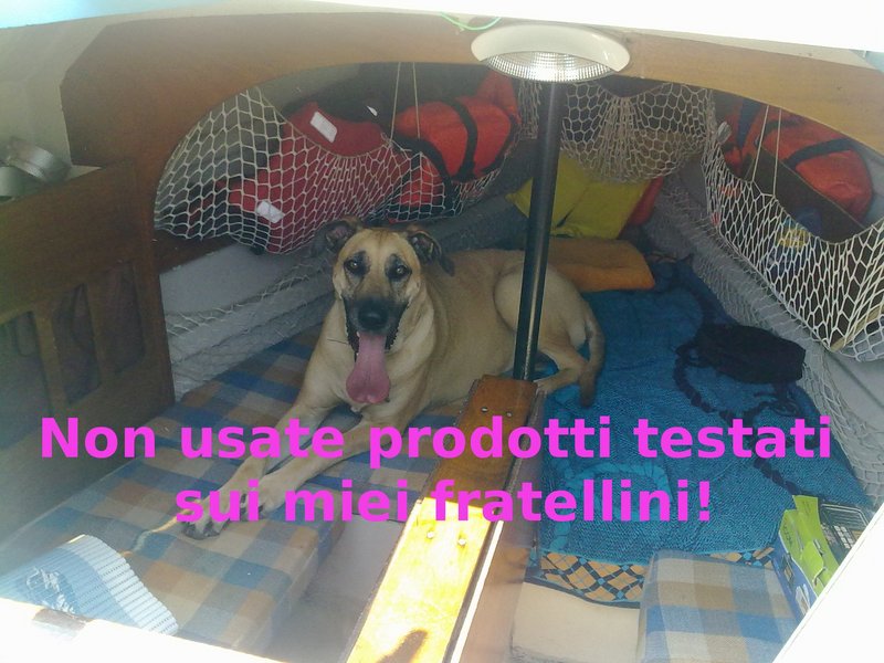 no test.jpg