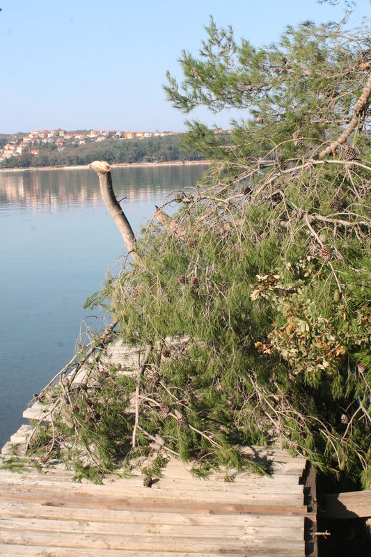 IMG_8182.JPG