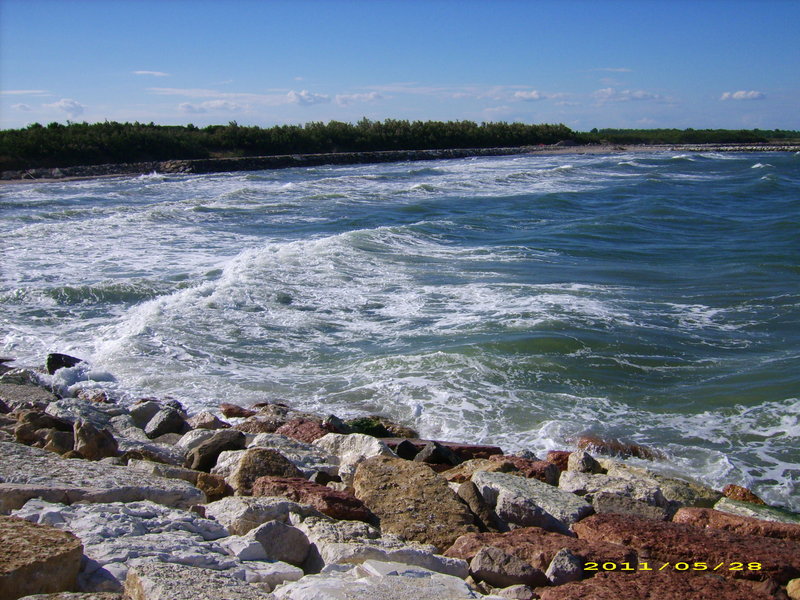 DSCI0052.JPG